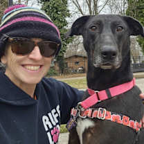 Thumbnail photo of Blaze #4