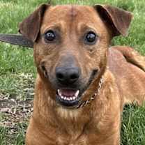 Thumbnail photo of Dylan #1