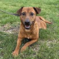 Thumbnail photo of Dylan #2