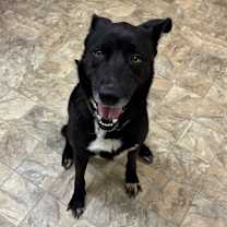 Thumbnail photo of Cameron #1