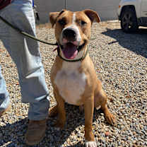 Thumbnail photo of BRODY #2