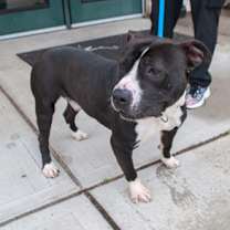 Thumbnail photo of JayZ #3