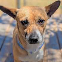 Thumbnail photo of Eurion #2