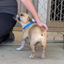 Thumbnail photo of Eurion #4