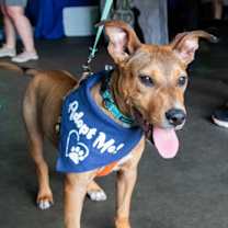 Thumbnail photo of Maxley #1