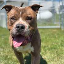 Thumbnail photo of Keno #1