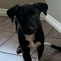 Thumbnail photo of Mr.Lavender AG #3