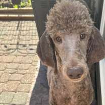 Thumbnail photo of Tom Haverford’ #2