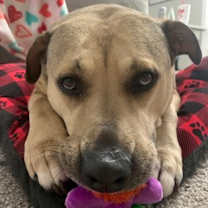 Thumbnail photo of LITTLE ONE #3