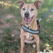 Thumbnail photo of Nina #3