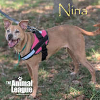 Thumbnail photo of Nina #4