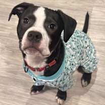 Thumbnail photo of Herman #4