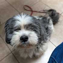 Thumbnail photo of Baylen #3