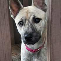 Thumbnail photo of Holly #1