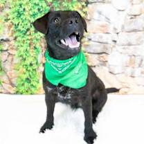 Thumbnail photo of Clay #2