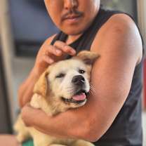 Thumbnail photo of minju #4