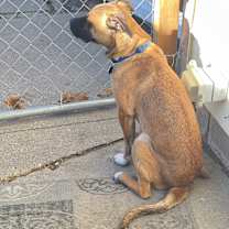 Thumbnail photo of Willie #3