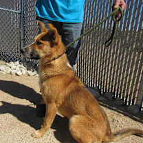 Thumbnail photo of Spike #2