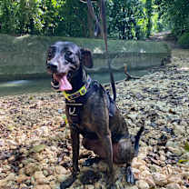 Thumbnail photo of Sasha #4