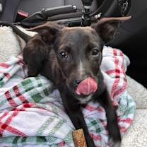 Thumbnail photo of Arly (Arlington) JuM #3