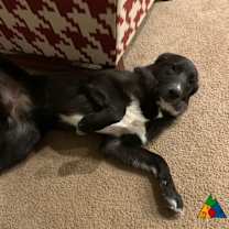 Thumbnail photo of Esme #2