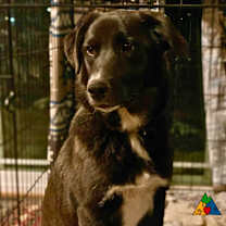 Thumbnail photo of Esme #3