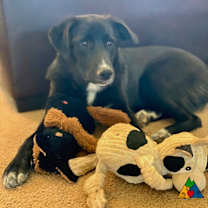 Thumbnail photo of Esme #4