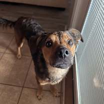 Thumbnail photo of Willow #3