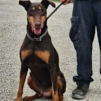 Thumbnail photo of Tumble JuM #2