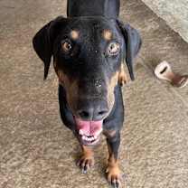 Thumbnail photo of Rexly JuM #3