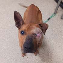 Thumbnail photo of Bo Peeper #4