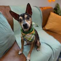 Thumbnail photo of Gramps #1