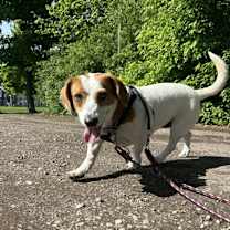 Thumbnail photo of TERE #2