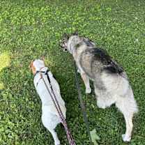 Thumbnail photo of TERE #4