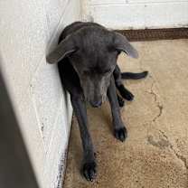 Thumbnail photo of Tilly #2