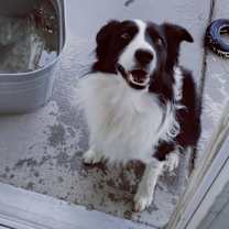 Thumbnail photo of Cooper #3