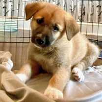 Thumbnail photo of Maddie tae #1