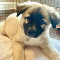 Thumbnail photo of Maddie tae #2