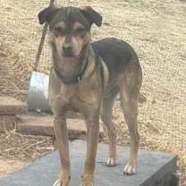 Thumbnail photo of Rock #1