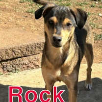 Thumbnail photo of Rock #2