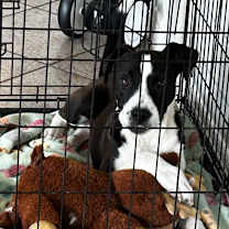 Thumbnail photo of George AG #4