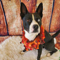 Thumbnail photo of Delia JuM #3