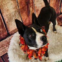 Thumbnail photo of Delia JuM #4