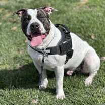 Thumbnail photo of Jeremiah #2