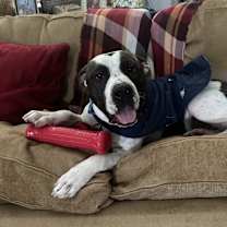 Thumbnail photo of Jeremiah #1