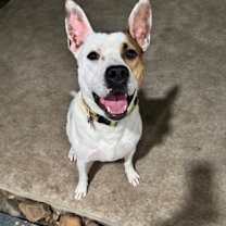 Thumbnail photo of LUCAS FOSTER #1