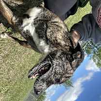 Thumbnail photo of Clementine #2