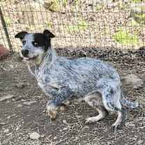 Thumbnail photo of Della #4