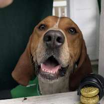 Thumbnail photo of Bama #3