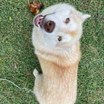 Thumbnail photo of Beth #2